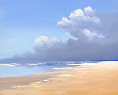 100cm x 80cm Birds on the Beach von Jan Groenhart