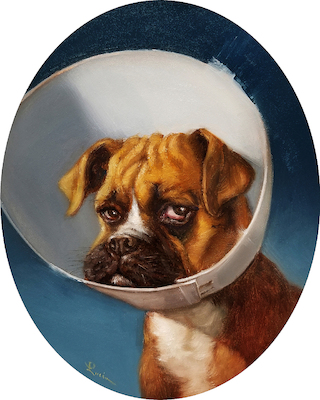 Array Cone of Shame von Lucia Heffernan