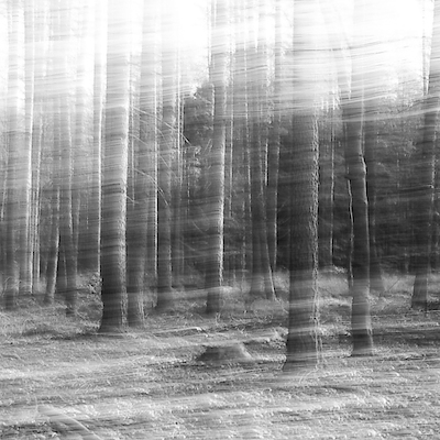 100cm x 100cm Day Break von Oliver Stein