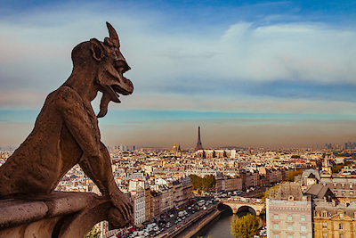 Array Vue sur Paris depuis Notre Dame von Arnaud Bertrande