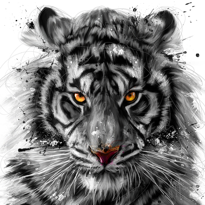 Array White Tiger von Patrice Murciano