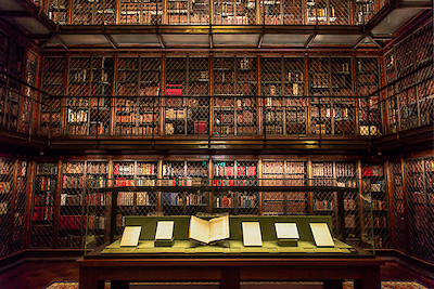 Array Library Room von Ronin
