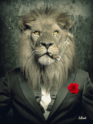 Array Lion Mafia von Sylvain Binet
