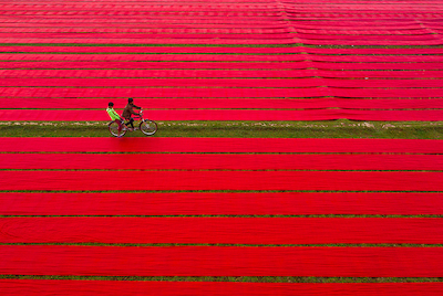 Array Bicycle on red cloths von Azim Khan Ronnie