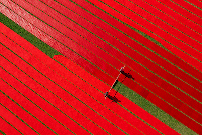 Array Drying fabrics von Azim Khan Ronnie