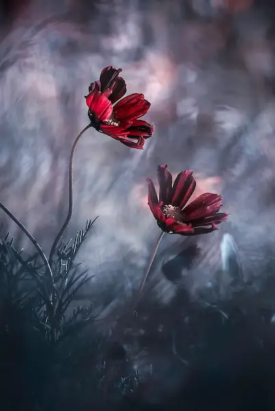 Array I will always be there for you von Fabien BRAVIN