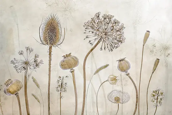 Array Growing old von Mandy Disher