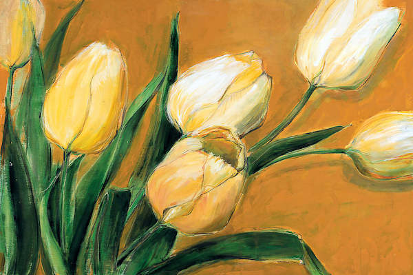 Array Tulipa Nova von Elisabeth Krobs