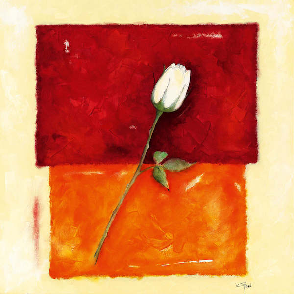 Array Single Rose von Günter Gohn