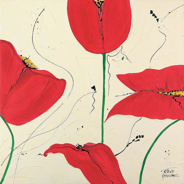 Array Mohn von Sylvia Haigermoser