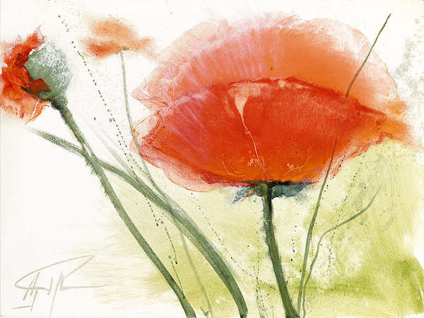 Array Faszination Mohn IV von Gerd Pflumm