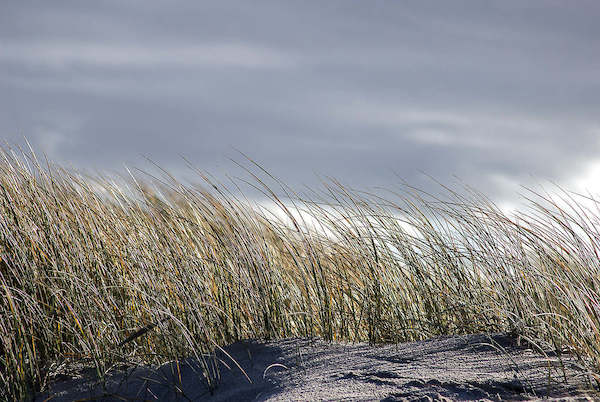 Array Insel Sylt II von Gerhard Rossmeissl