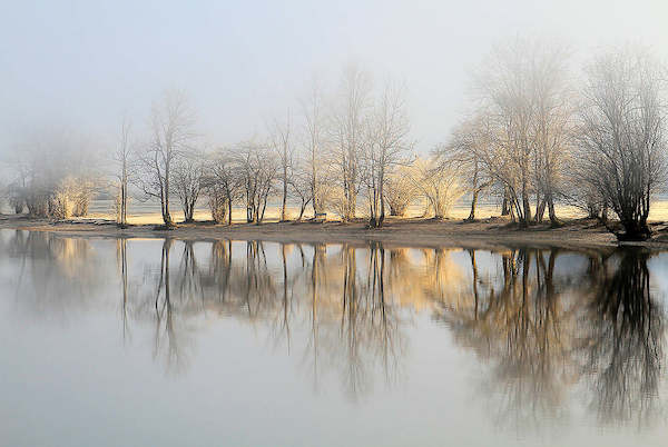 Array january morning von Bor
