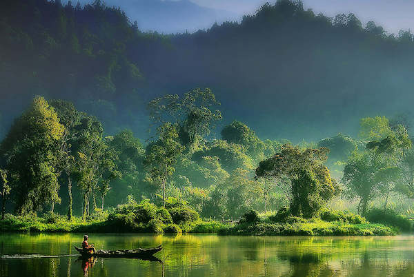 Array Painting of  Nature von Hardibudi