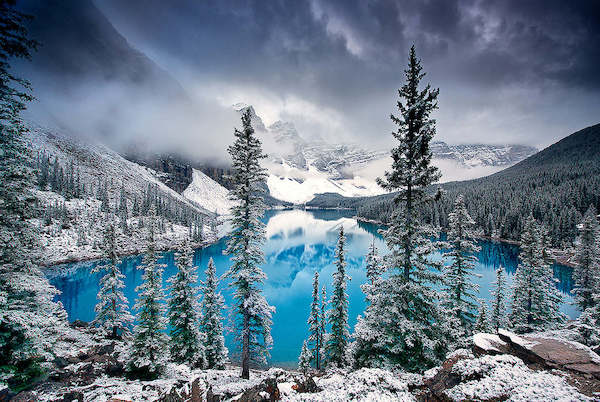 Array Morning blues von Trevor Cole