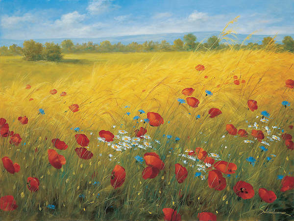 Array Sparkling field I von Heinz Schölnhammer