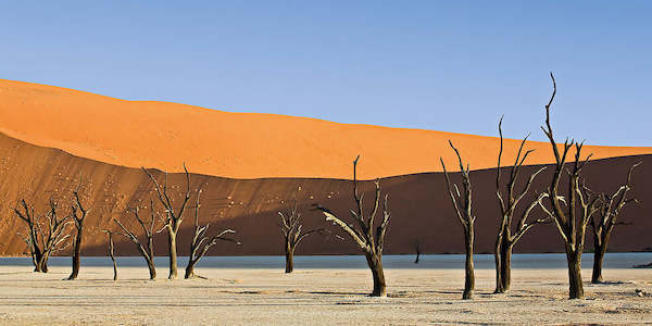 Array Dead Vlei von Rainer Mirau