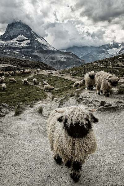 Array Out of my way von Susanne Landolt
