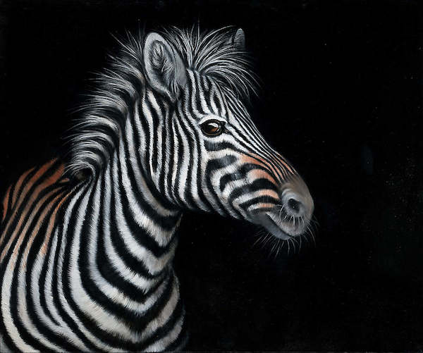 Array Zebra II von Jutta Plath