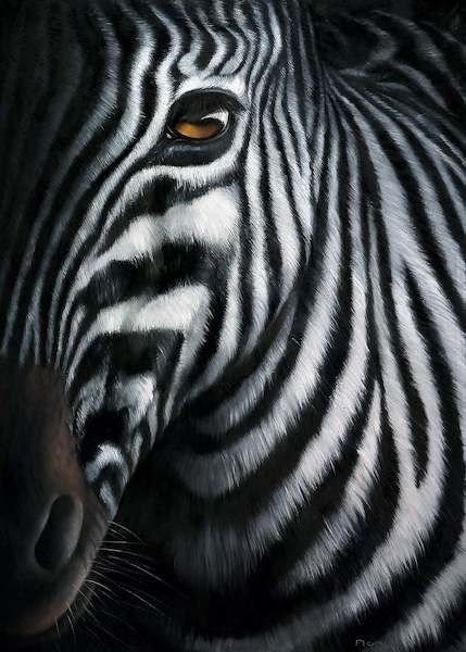 Array Zebra I von Jutta Plath