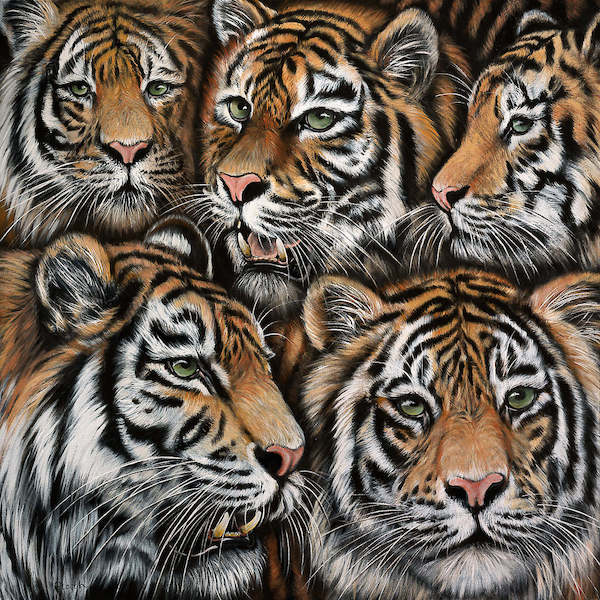 Array Tigermix von Jutta Plath