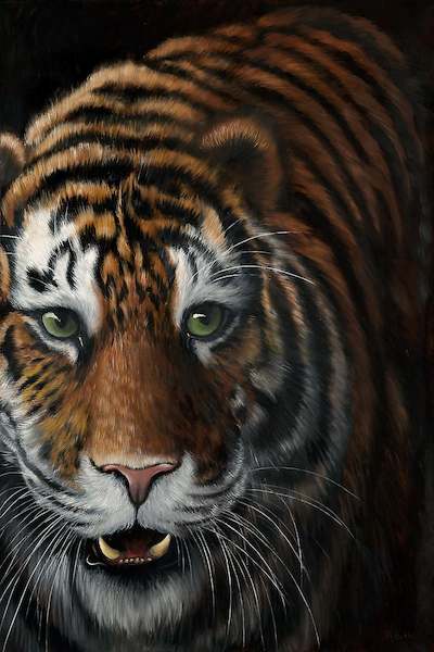 Array Tiger von Jutta Plath