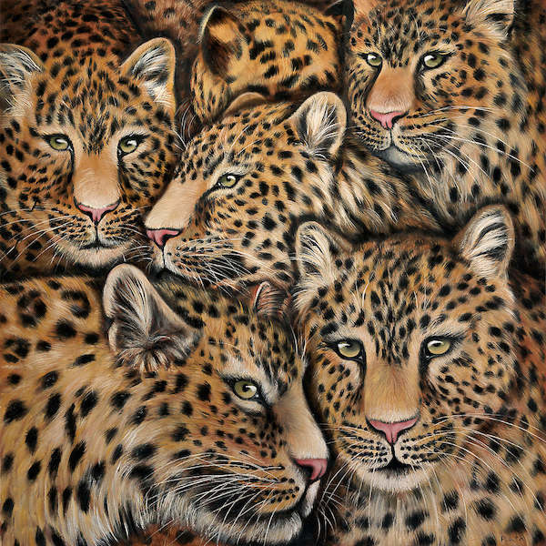 Array Leopardenmix von Jutta Plath