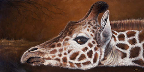 Array Giraffe von Jutta Plath