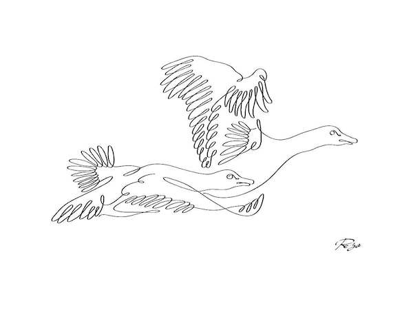 Array Geese von Gholam Reza Mahdavi