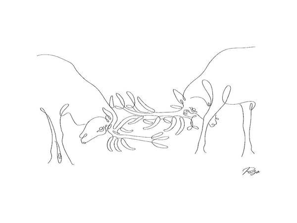 Array Deer Fight 01 von Gholam Reza Mahdavi
