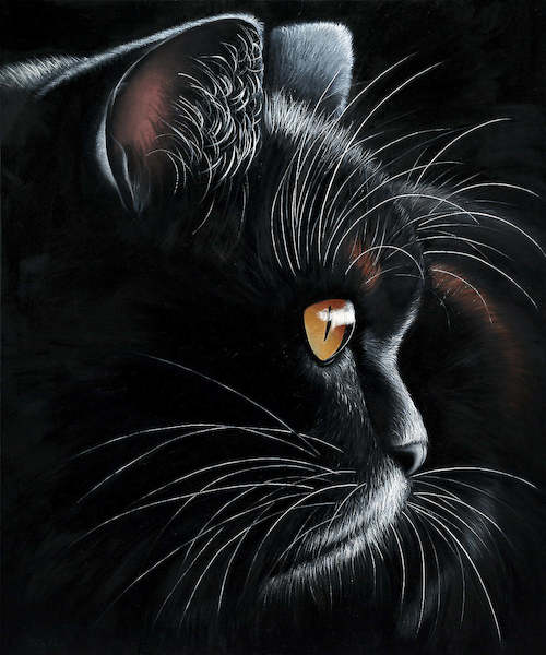 Array Black Tiger von Jutta Plath