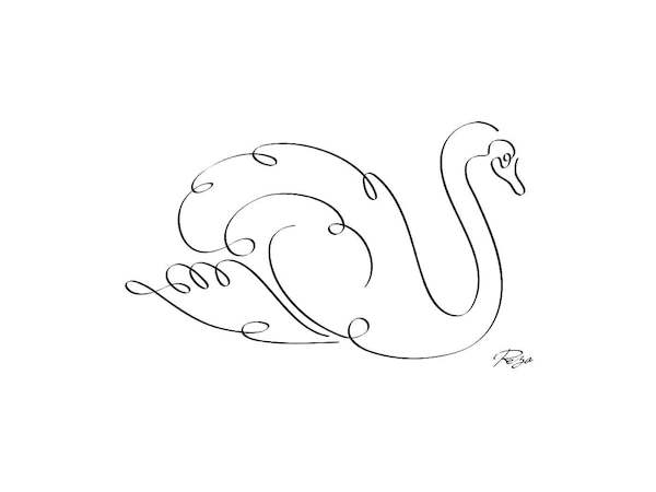 Array Swan von Gholam Reza Mahdavi