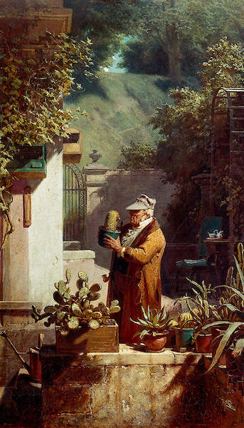 40cm x 70cm Der Kaktusfreund von Carl Spitzweg