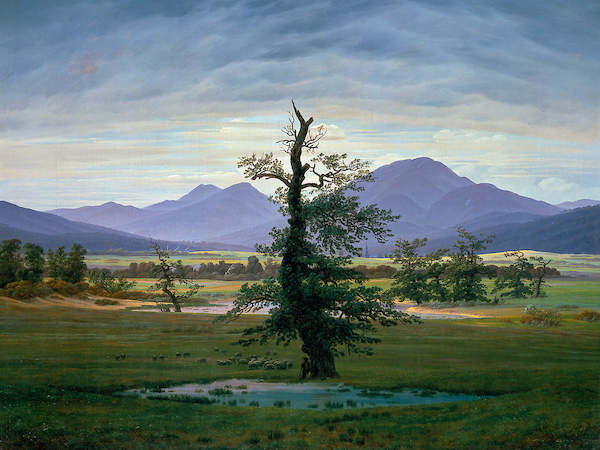 Array Der einsame Baum von Caspar David Friedrich