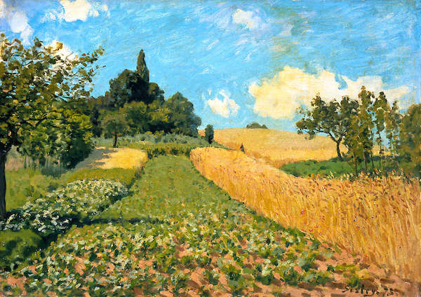 Array Sommerlandschaft von Alfred Sisley