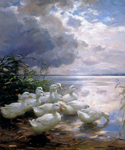 Array Enten am Seeufer von Alexander Koester