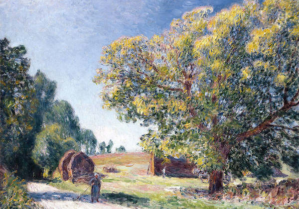 Array Eine Lichtung in der Nähe... von Alfred Sisley