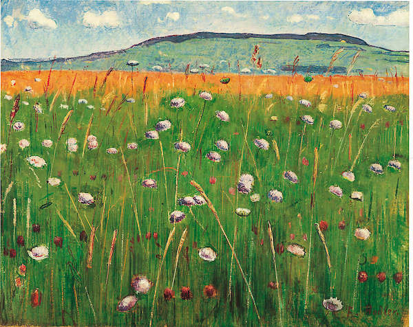 71cm x 56cm Wiesenstück, 1900/1902 von Ferdinand Hodler