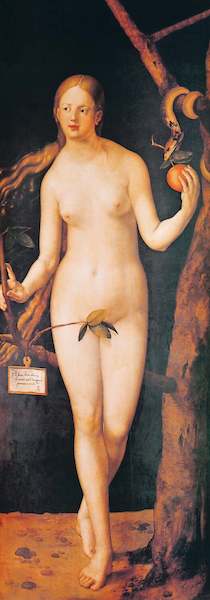 Array Eva von Albrecht Dürer