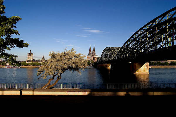 Array Skyline Köln von Wolfgang Weber