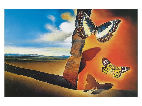 80cm x 60cm Paysage aux Papillons von Salvador Dali