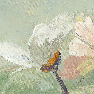30cm x 30cm Pâquerette II von Chantal Parise