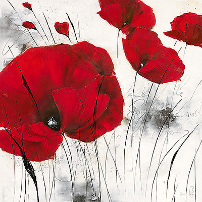 70cm x 70cm Pavot d´hiver VI von Isabelle Zacher-Finet