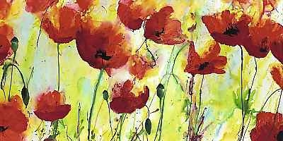 100cm x 50cm Mohnfeld von REIL