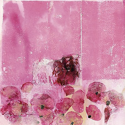 40cm x 40cm Mohnblühen von SPILKER
