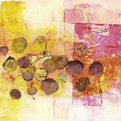 40cm x 40cm Rosenblühen von SPILKER