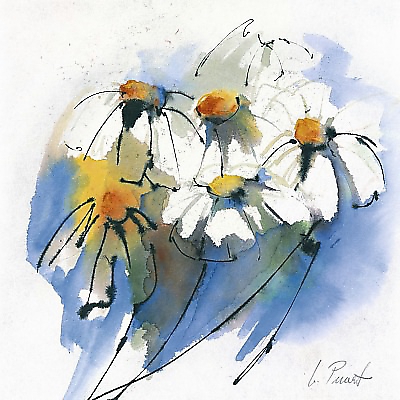 21cm x 21cm Margeriten von Marta Peuckert