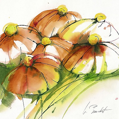 21cm x 21cm Kamille von Marta Peuckert