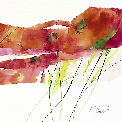 21cm x 21cm Modern Poppy V von Marta Peuckert