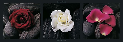 95cm x 33cm Roses on stones von PINSARD